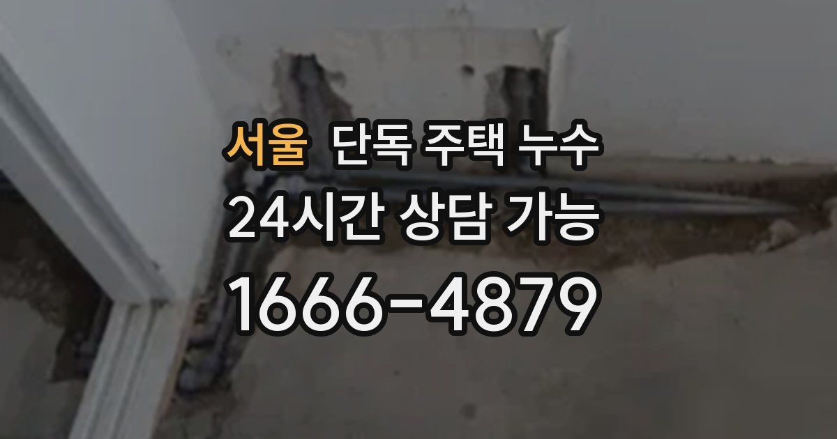 서울 단독 주택 누수