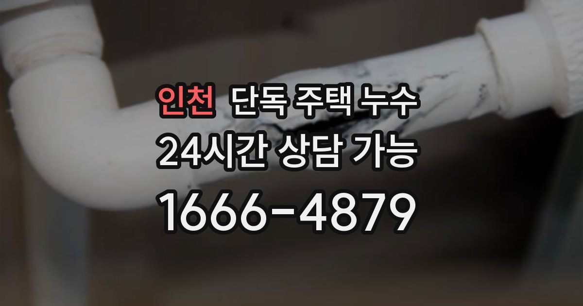 인천 단독 주택 누수
