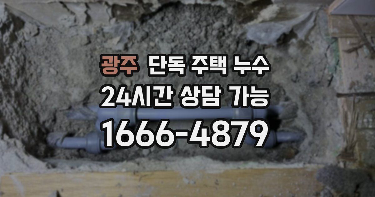 광주 단독 주택 누수