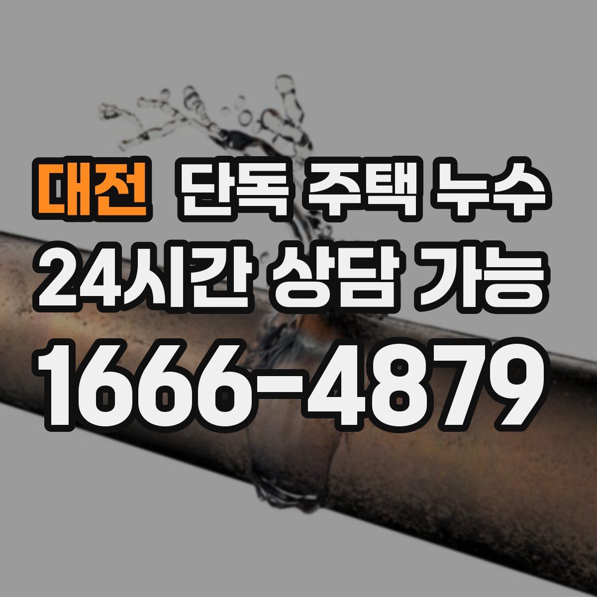 대전 단독 주택 누수