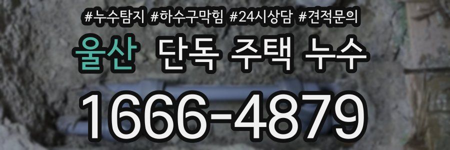 울산 단독 주택 누수