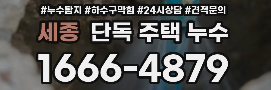 세종 단독 주택 누수