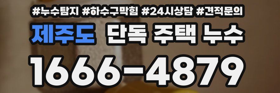 제주도 단독 주택 누수