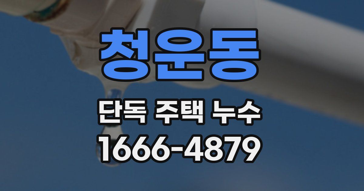 청운동 단독 주택 누수