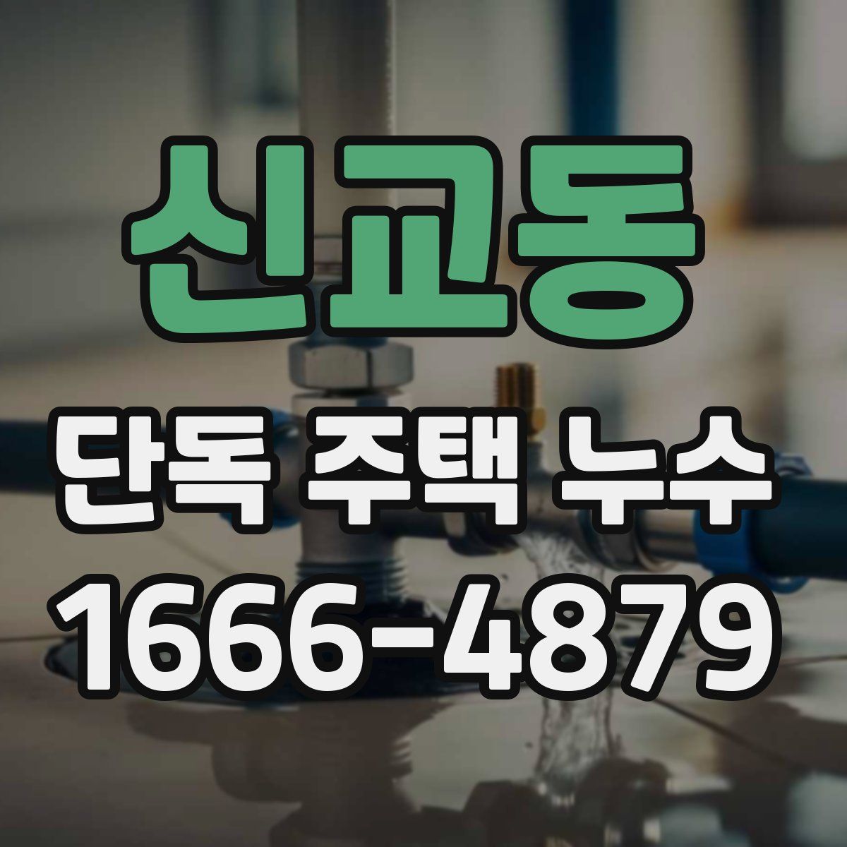 신교동 단독 주택 누수