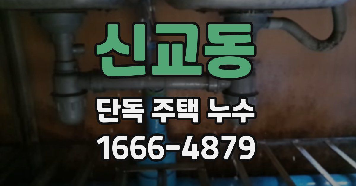 신교동 단독 주택 누수