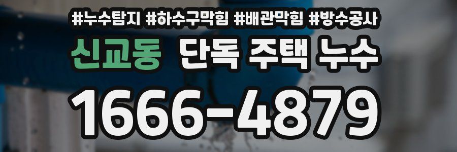 신교동 단독 주택 누수