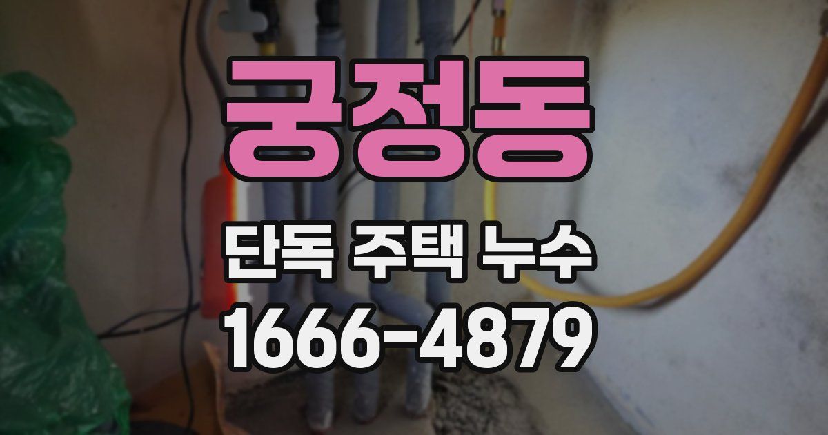 궁정동 단독 주택 누수