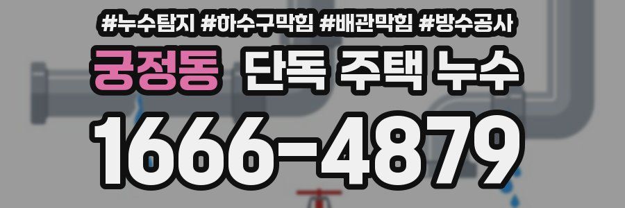 궁정동 단독 주택 누수