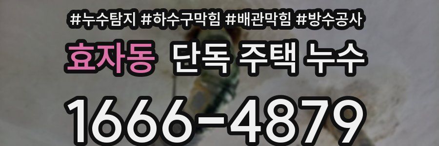 효자동 단독 주택 누수