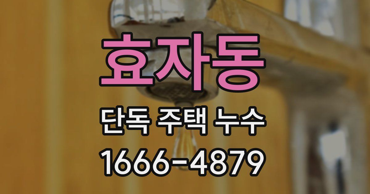 효자동 단독 주택 누수