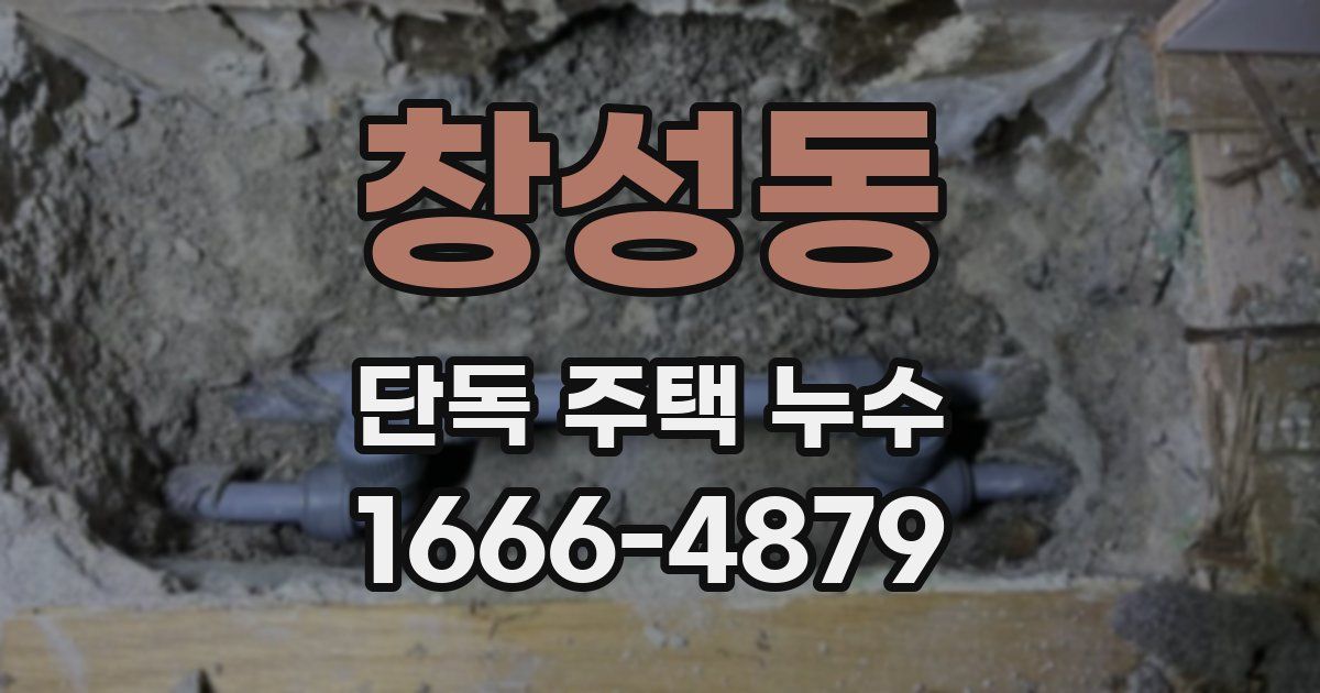창성동 단독 주택 누수