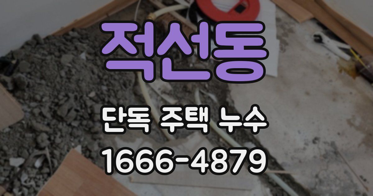 적선동 단독 주택 누수