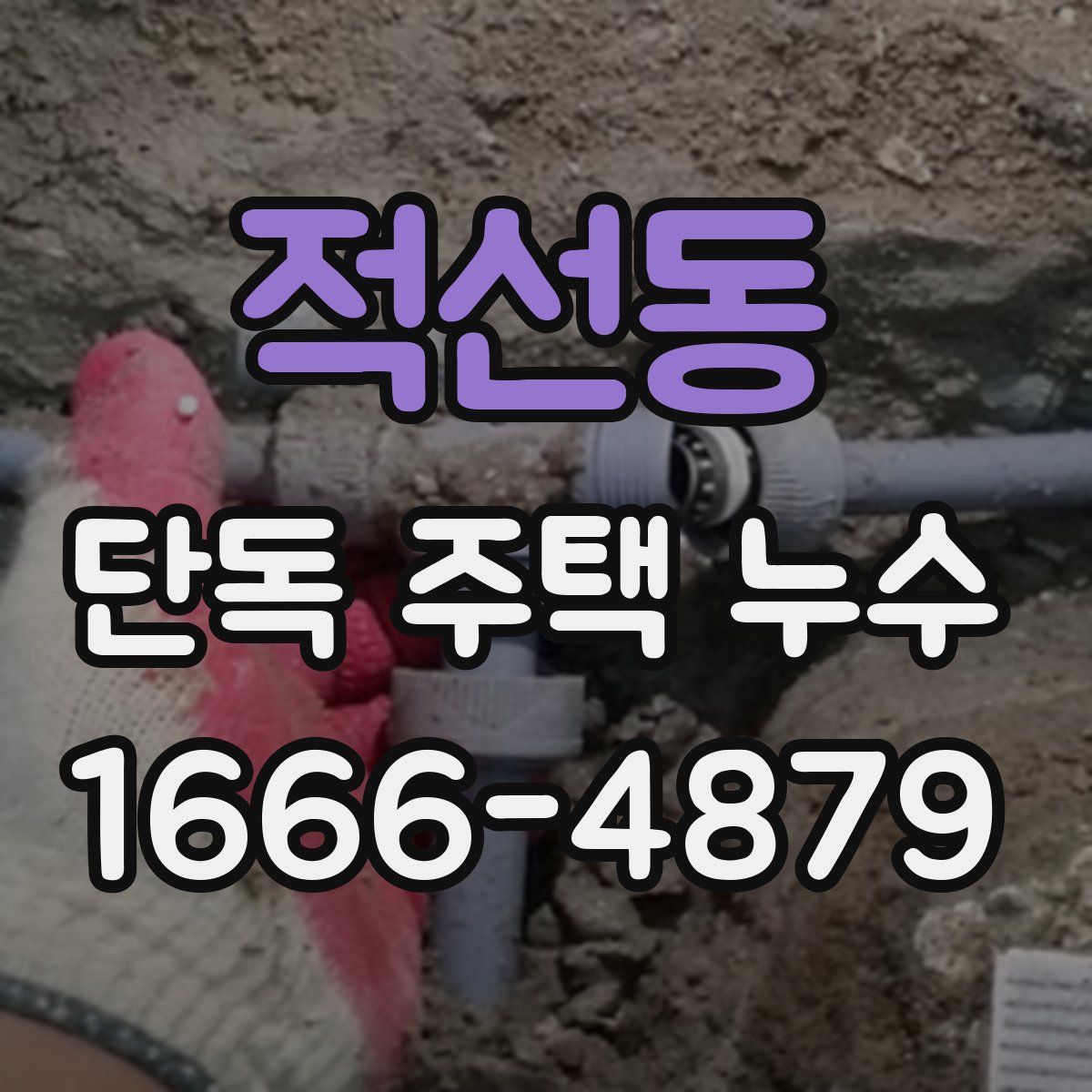 적선동 단독 주택 누수