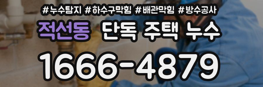 적선동 단독 주택 누수