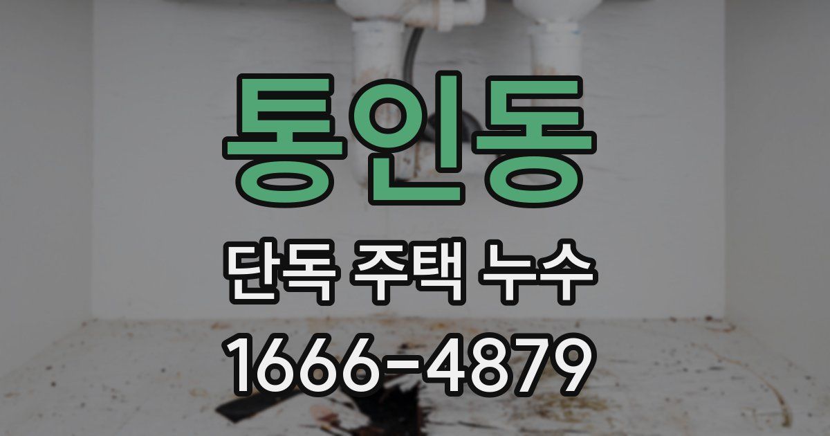 통인동 단독 주택 누수