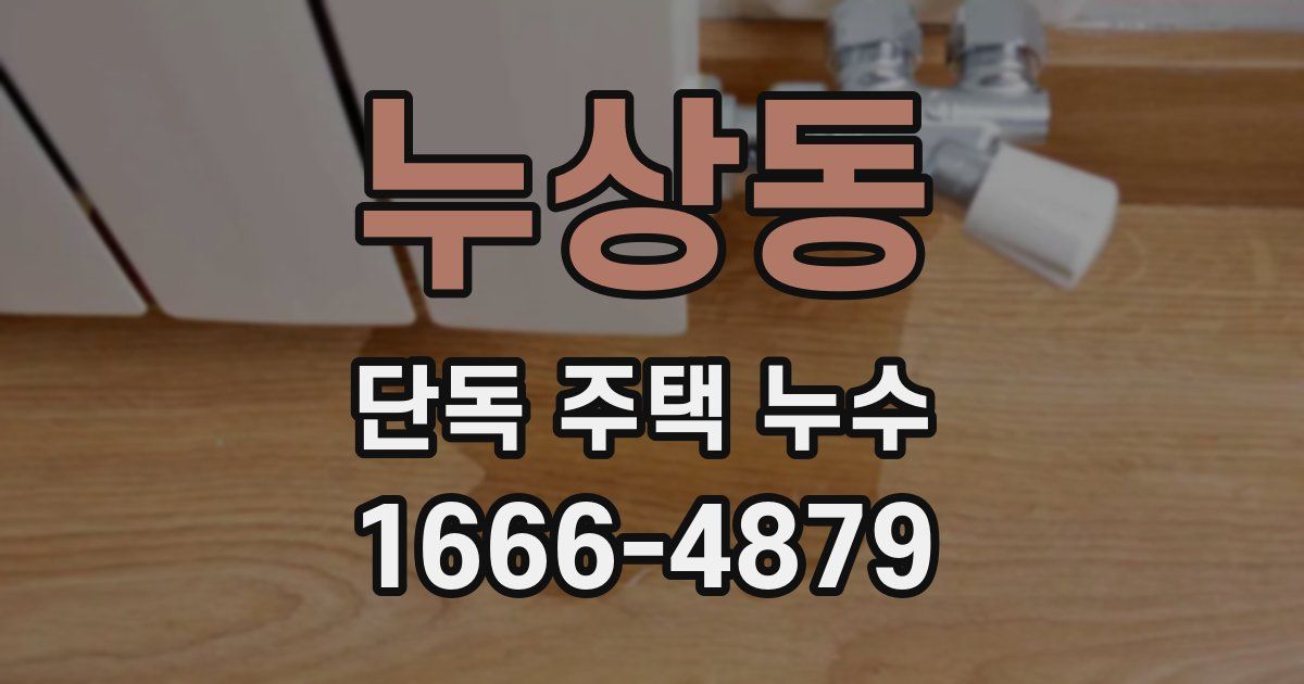 누상동 단독 주택 누수