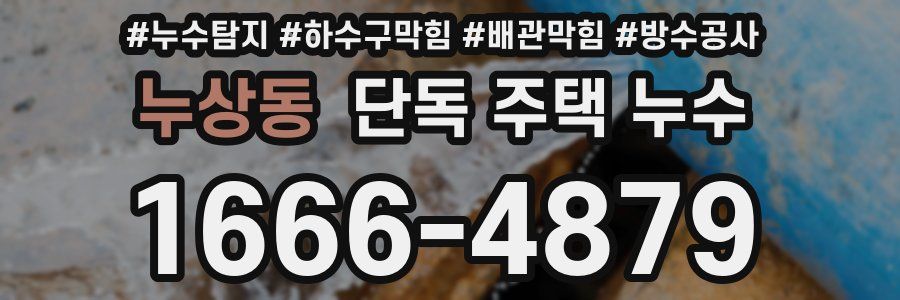 누상동 단독 주택 누수