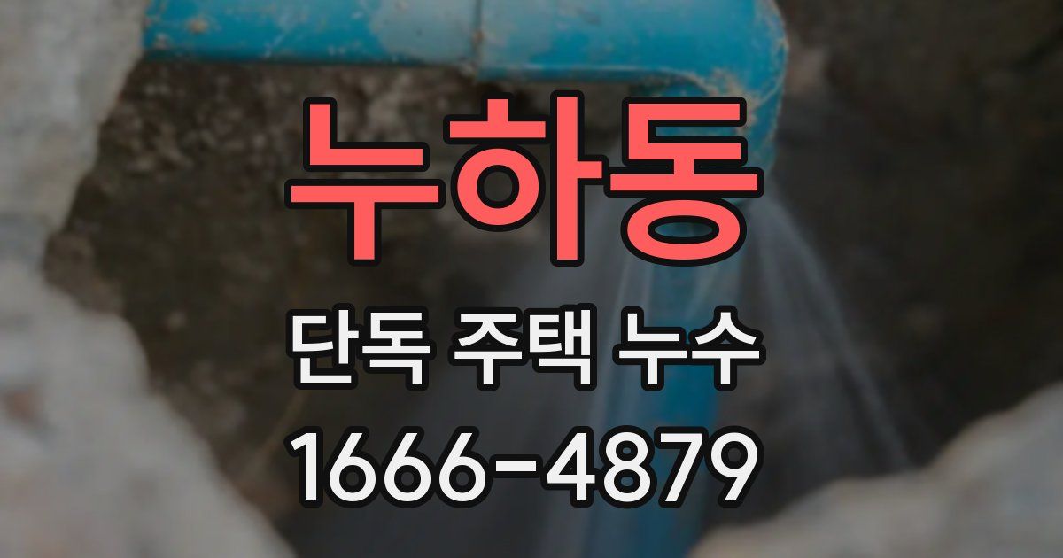 누하동 단독 주택 누수