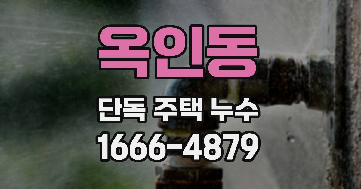 옥인동 단독 주택 누수