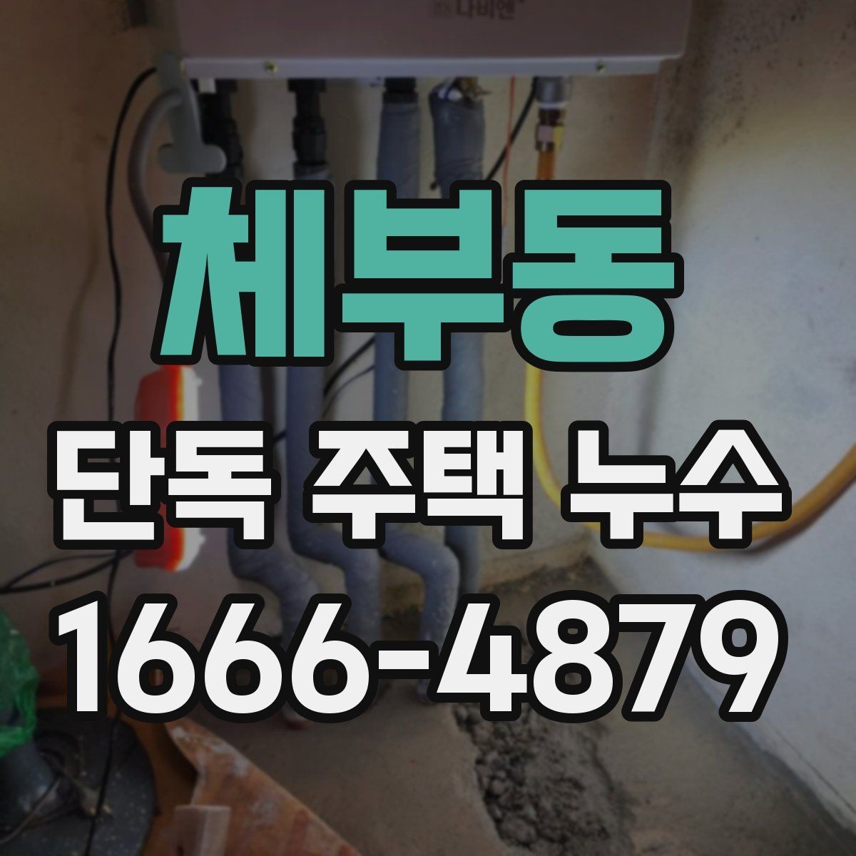 체부동 단독 주택 누수 증상별 원인 추정 방법