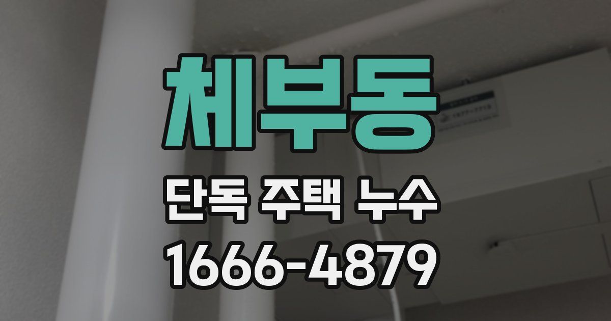 체부동 단독 주택 누수