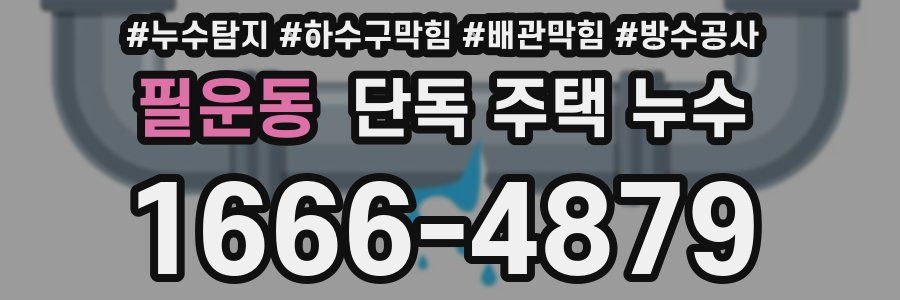 필운동 단독 주택 누수