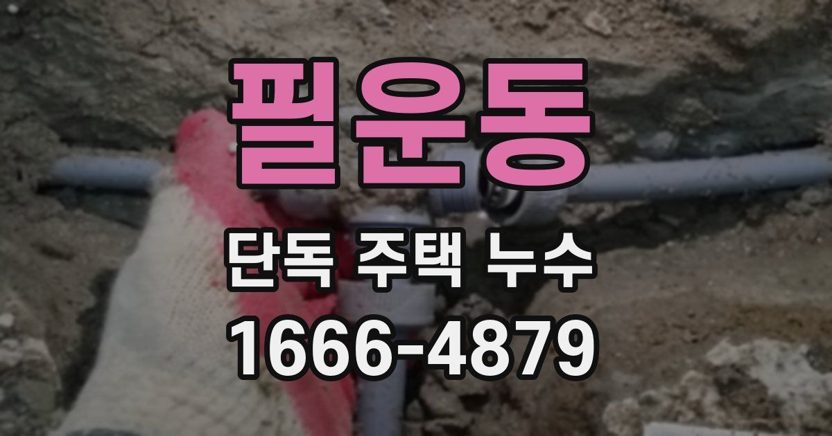 필운동 단독 주택 누수
