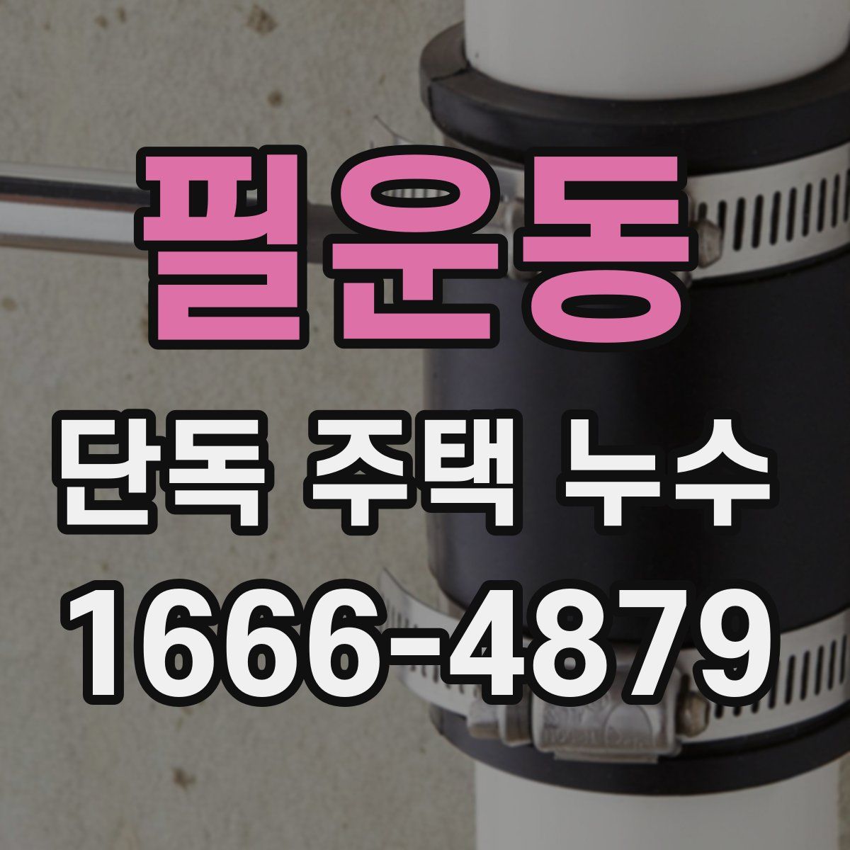 필운동 단독 주택 누수