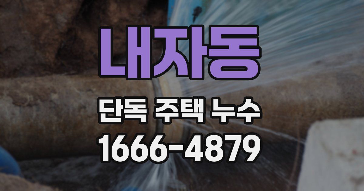 내자동 단독 주택 누수