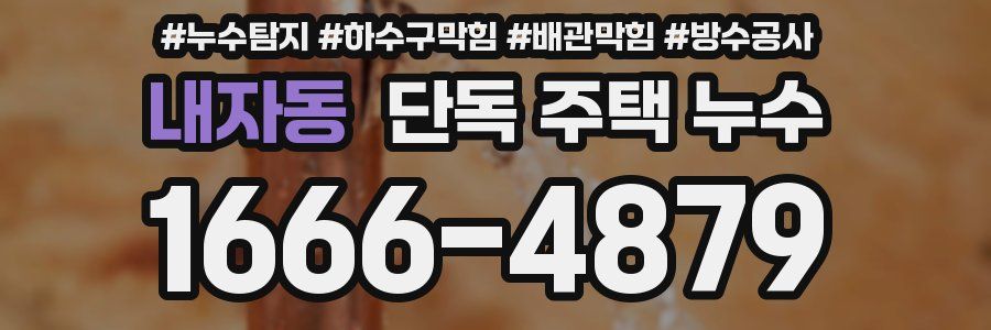 내자동 단독 주택 누수