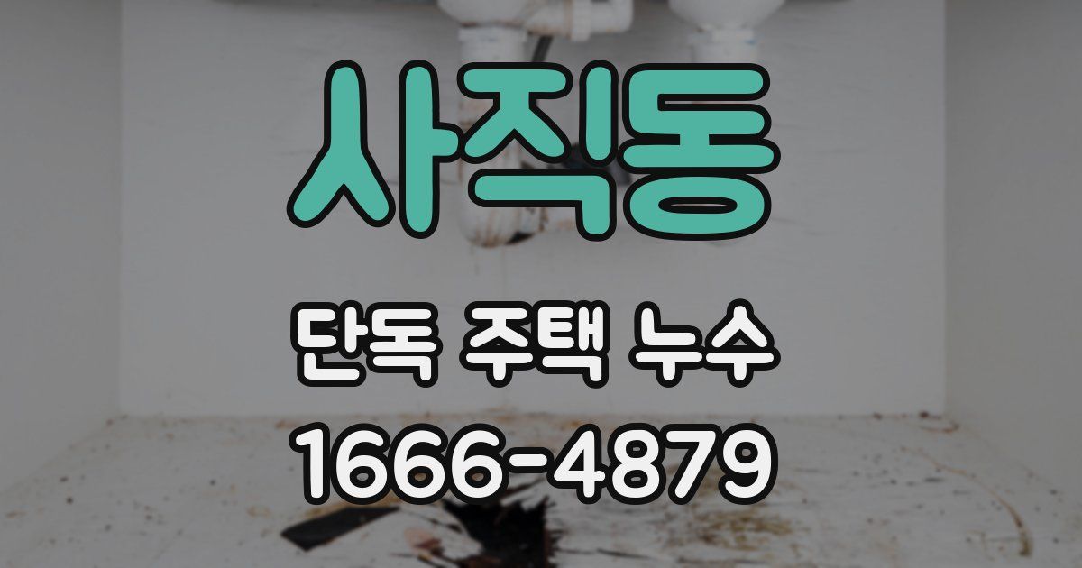 사직동 단독 주택 누수