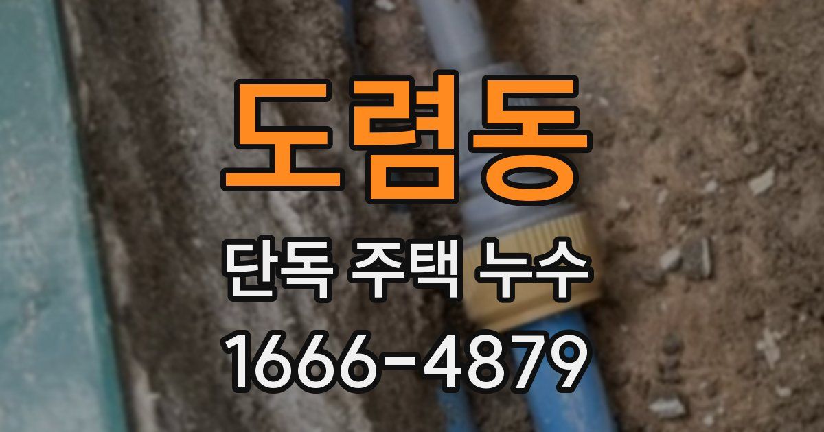 도렴동 단독 주택 누수