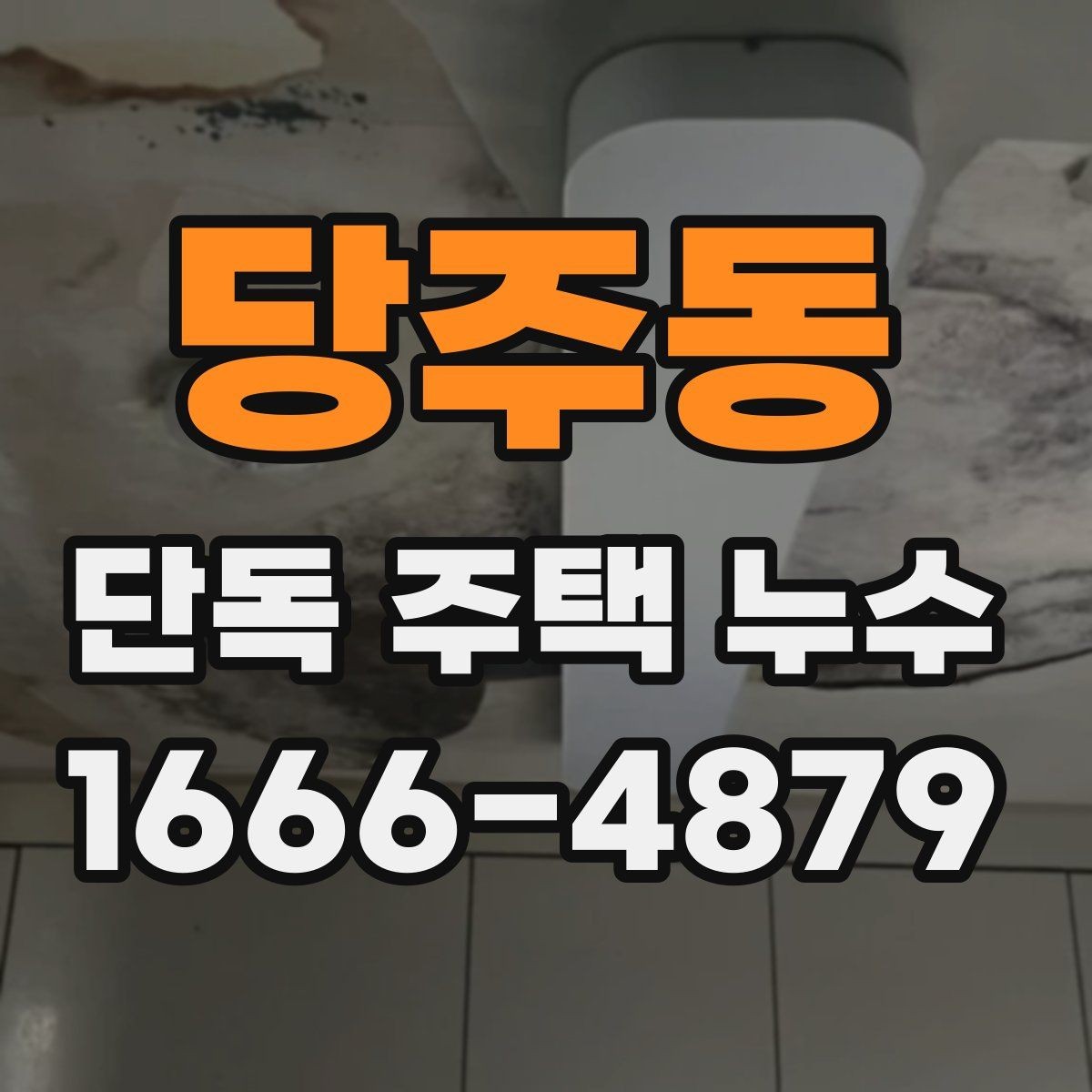 당주동 단독 주택 누수 간단 점검으로 확인하는 방법