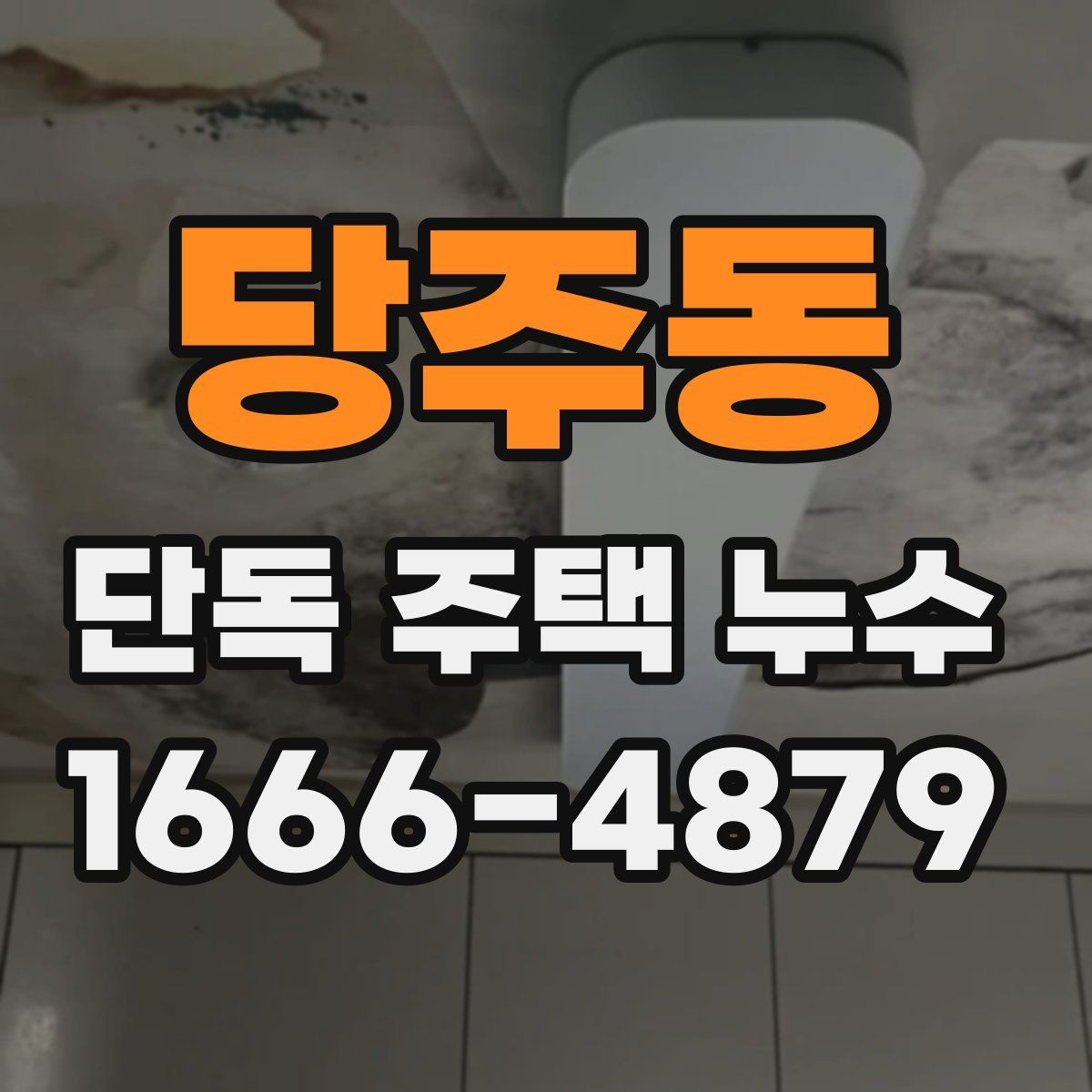 당주동 단독 주택 누수