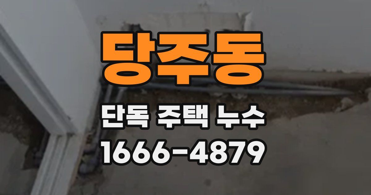 당주동 단독 주택 누수