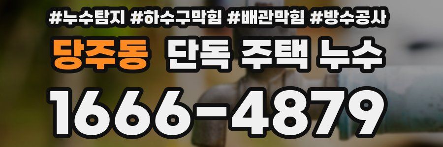 당주동 단독 주택 누수