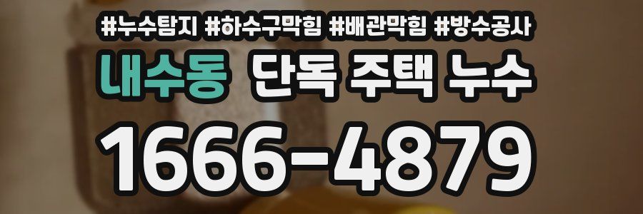 내수동 단독 주택 누수