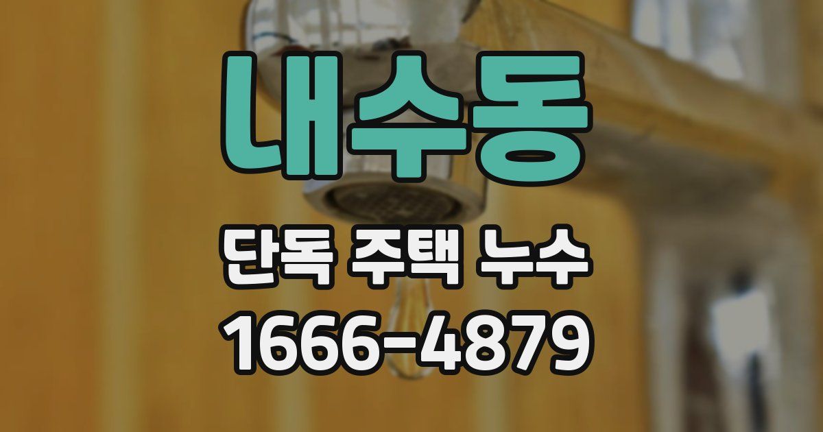 내수동 단독 주택 누수