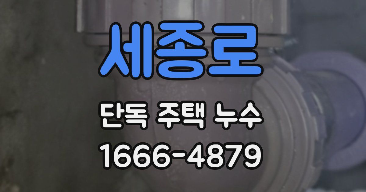 세종로 단독 주택 누수