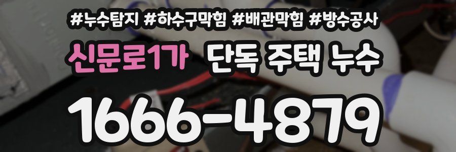 신문로1가 단독 주택 누수