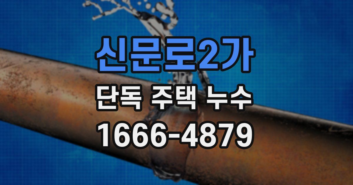 신문로2가 단독 주택 누수