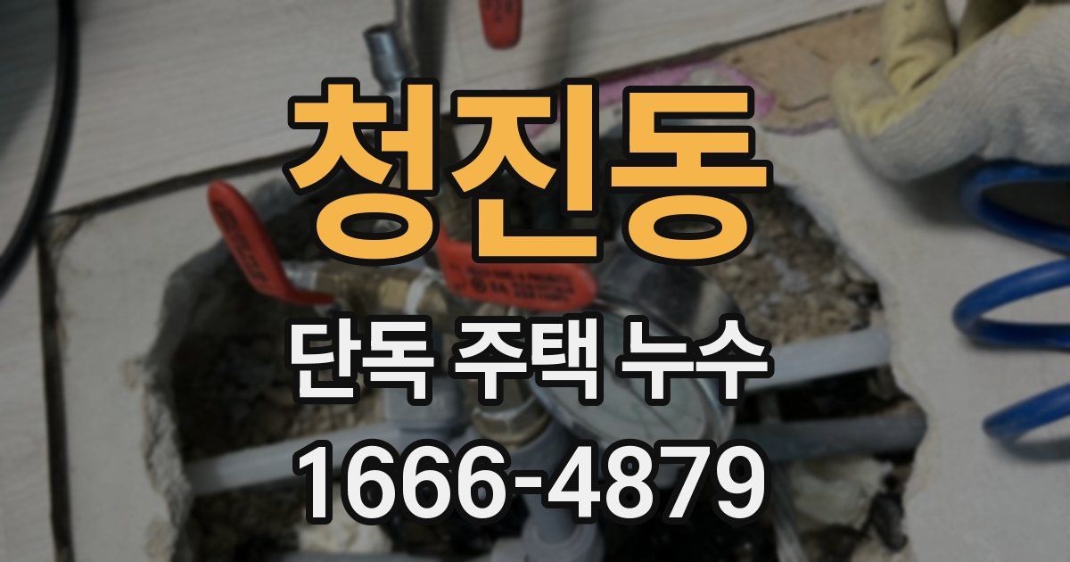 청진동 단독 주택 누수