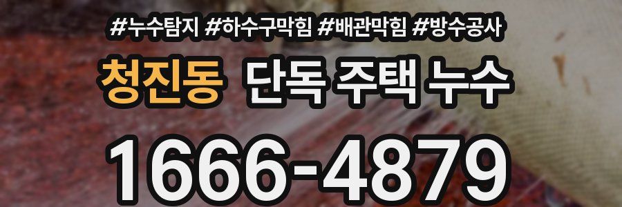 청진동 단독 주택 누수