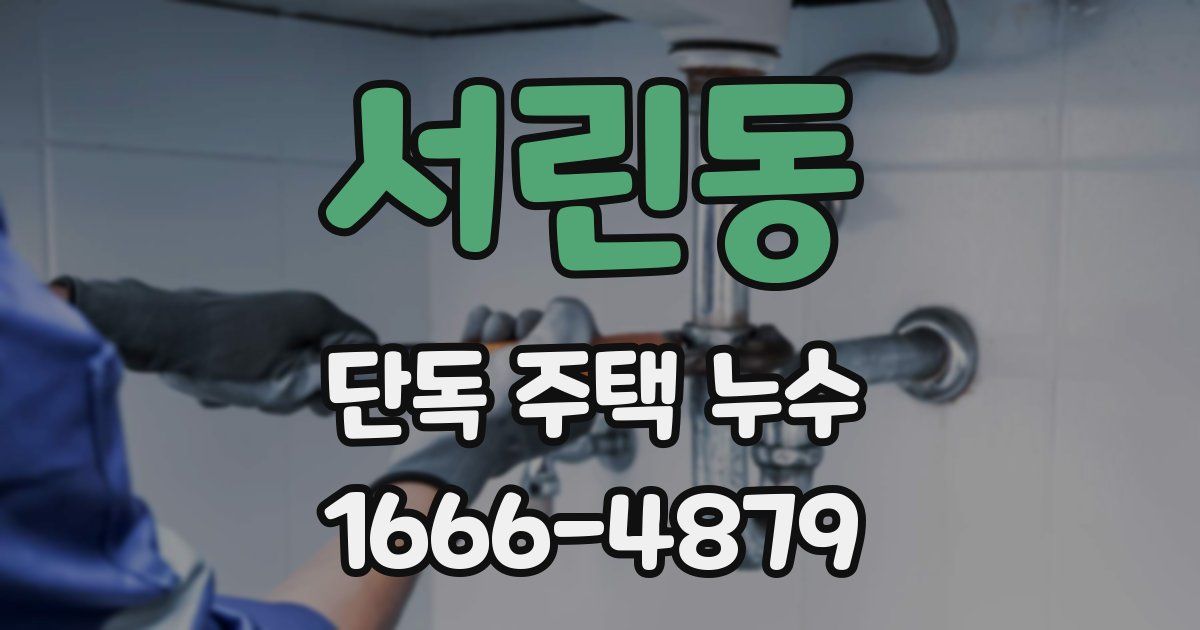 서린동 단독 주택 누수