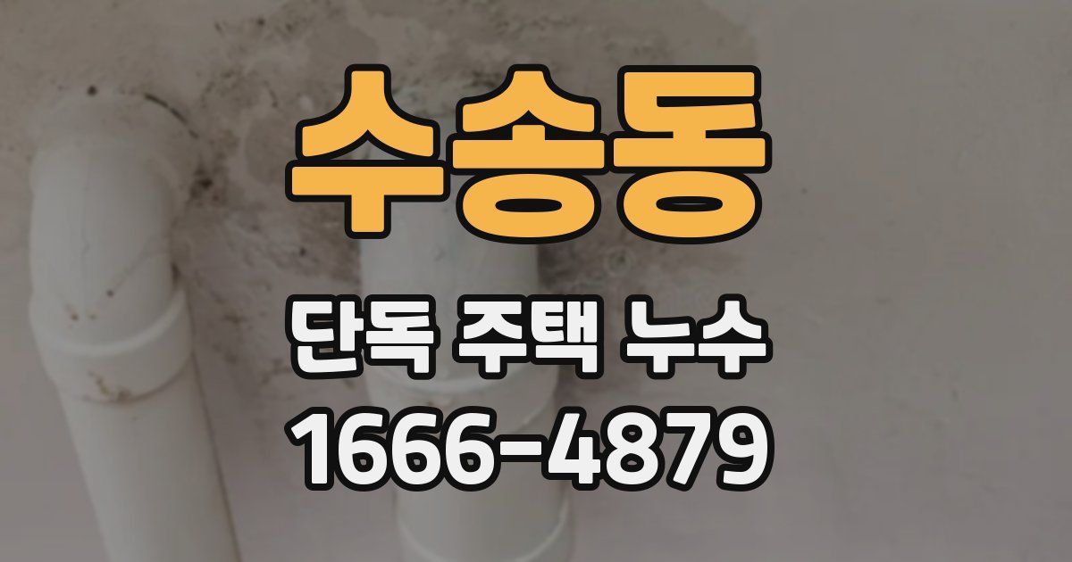 수송동 단독 주택 누수
