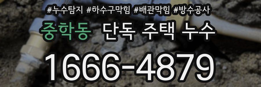 중학동 단독 주택 누수