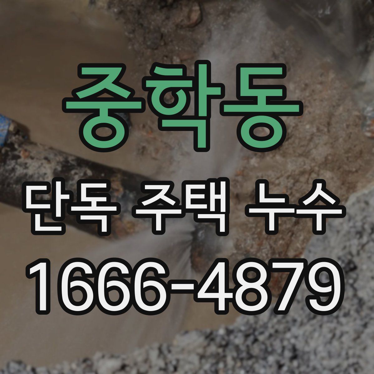 중학동 단독 주택 누수