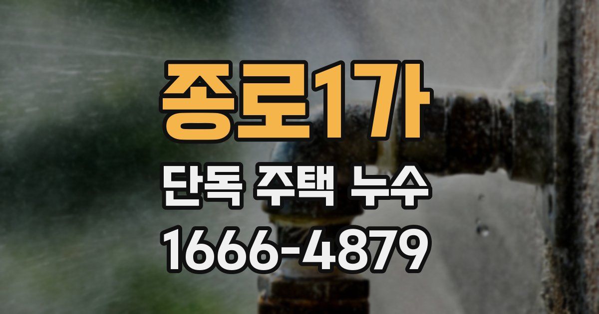 종로1가 단독 주택 누수