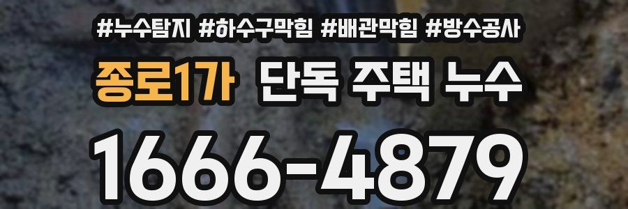 종로1가 단독 주택 누수